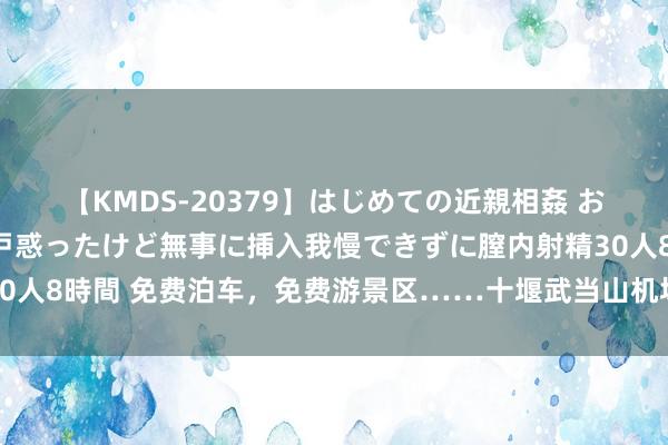 【KMDS-20379】はじめての近親相姦 おばさんの誘いに最初は戸惑ったけど無事に挿入我慢できずに膣内射精30人8時間 免费泊车，免费游景区……十堰武当山机场多重福利优惠来啦