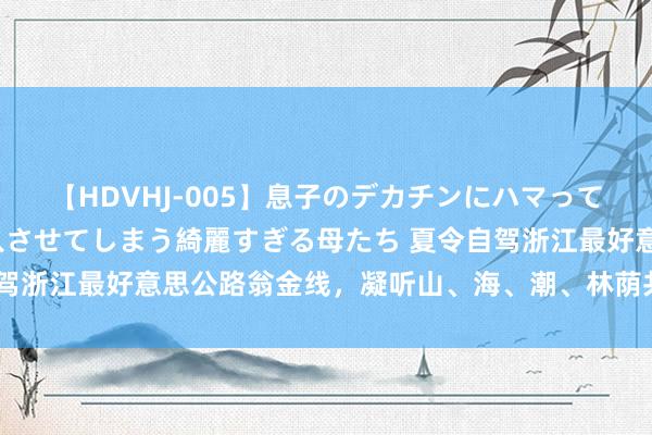 【HDVHJ-005】息子のデカチンにハマってしまい毎日のように挿入させてしまう綺麗すぎる母たち 夏令自驾浙江最好意思公路翁金线，凝听山、海、潮、林荫共奏的交响曲