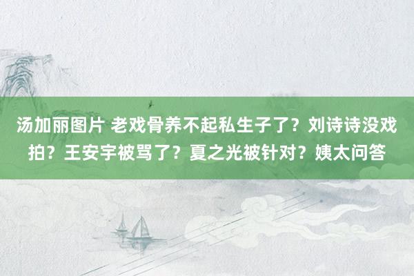 汤加丽图片 老戏骨养不起私生子了？刘诗诗没戏拍？王安宇被骂了？夏之光被针对？姨太问答