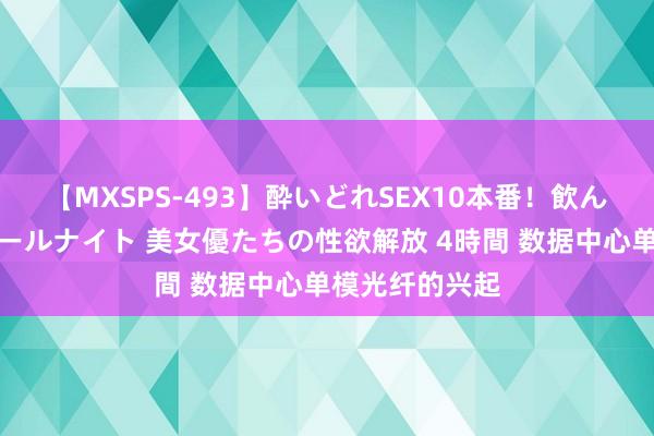 【MXSPS-493】酔いどれSEX10本番！飲んで揉まれてオールナイト 美女優たちの性欲解放 4時間 数据中心单模光纤的兴起