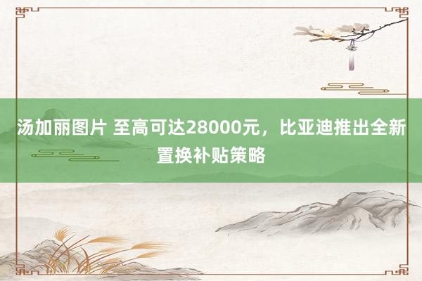 汤加丽图片 至高可达28000元，比亚迪推出全新置换补贴策略