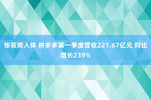 张筱雨人体 拼多多第一季度营收221.67亿元 同比增长239%