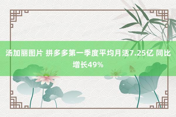 汤加丽图片 拼多多第一季度平均月活7.25亿 同比增长49%