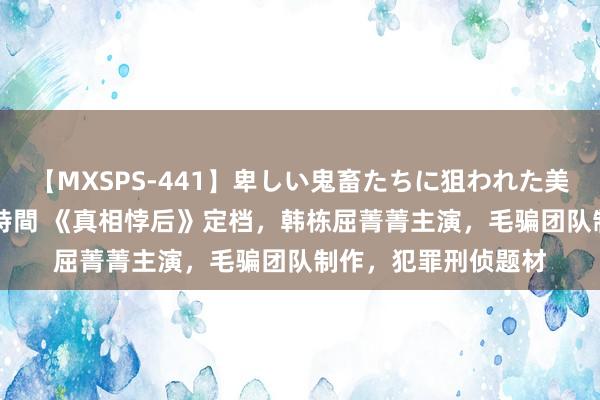 【MXSPS-441】卑しい鬼畜たちに狙われた美女15名 痴漢被害5時間 《真相悖后》定档，韩栋屈菁菁主演，毛骗团队制作，犯罪刑侦题材