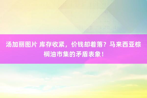 汤加丽图片 库存收紧，价钱却着落？马来西亚棕榈油市集的矛盾表象！