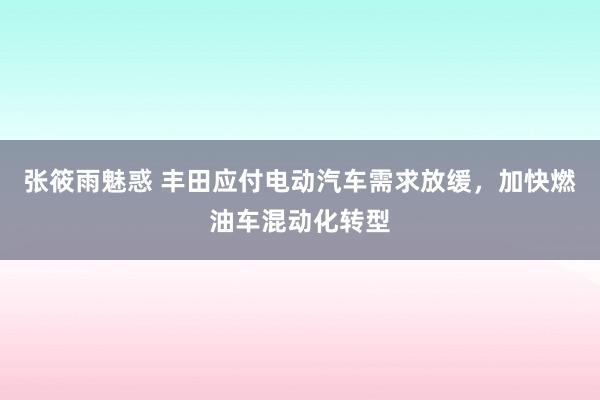 张筱雨魅惑 丰田应付电动汽车需求放缓，加快燃油车混动化转型