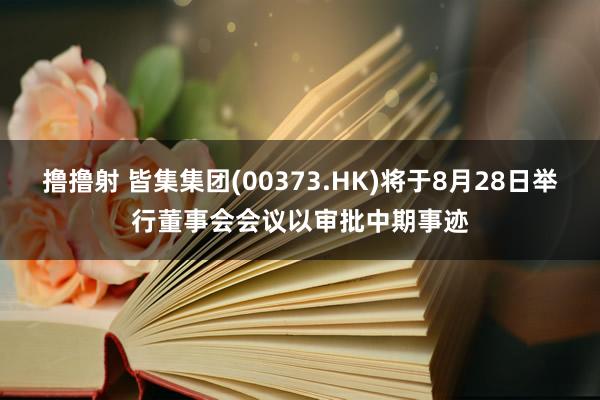 撸撸射 皆集集团(00373.HK)将于8月28日举行董事会会议以审批中期事迹