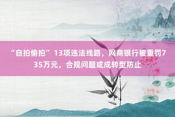 “自拍偷拍” 13项违法线路，网商银行被重罚735万元，合规问题或成转型防止