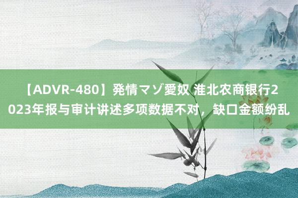 【ADVR-480】発情マゾ愛奴 淮北农商银行2023年报与审计讲述多项数据不对，缺口金额纷乱