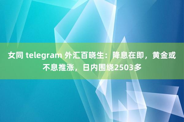 女同 telegram 外汇百晓生：降息在即，黄金或不息推涨，日内围绕2503多