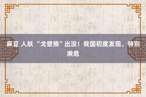 麻豆 人妖 “戈壁熊”出没！我国初度发现，特别濒危