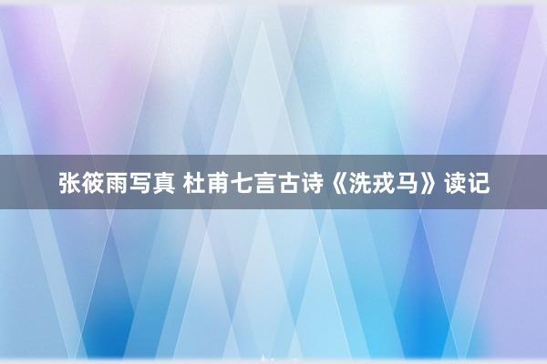 张筱雨写真 杜甫七言古诗《洗戎马》读记