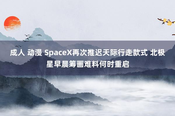 成人 动漫 SpaceX再次推迟天际行走款式 北极星早晨筹画难料何时重启