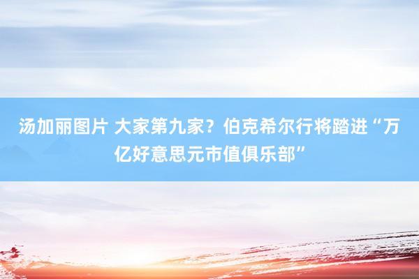 汤加丽图片 大家第九家？伯克希尔行将踏进“万亿好意思元市值俱乐部”