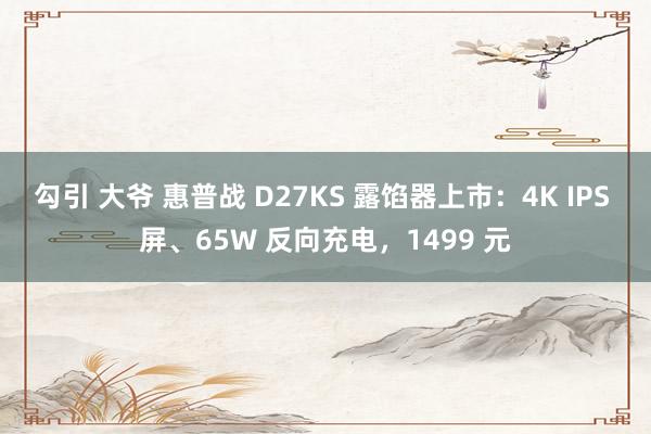 勾引 大爷 惠普战 D27KS 露馅器上市：4K IPS 屏、65W 反向充电，1499 元