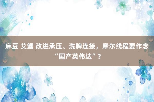 麻豆 艾鲤 改进承压、洗牌连接，摩尔线程要作念“国产英伟达”？