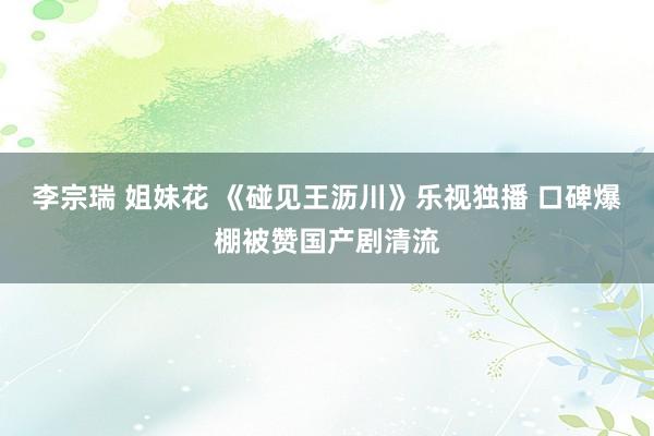 李宗瑞 姐妹花 《碰见王沥川》乐视独播 口碑爆棚被赞国产剧清流