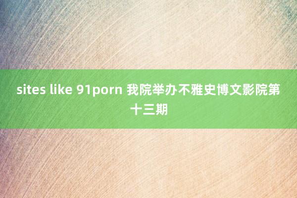 sites like 91porn 我院举办不雅史博文影院第十三期